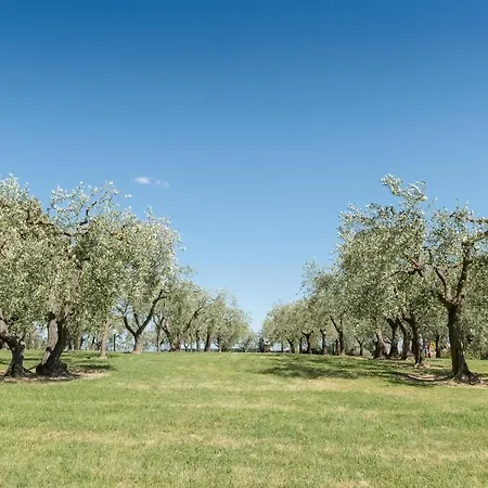 Villa Giola B&B Arezzo